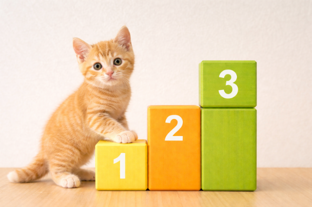 1・2・3と階段状になっているブロックに、猫が手を添えている
